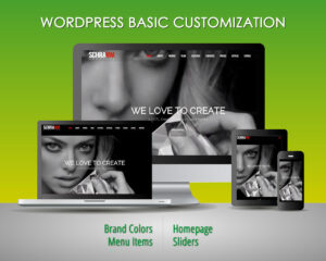 Basic WordPress Customization
