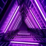 How a simple question led me down a data rabbit hole