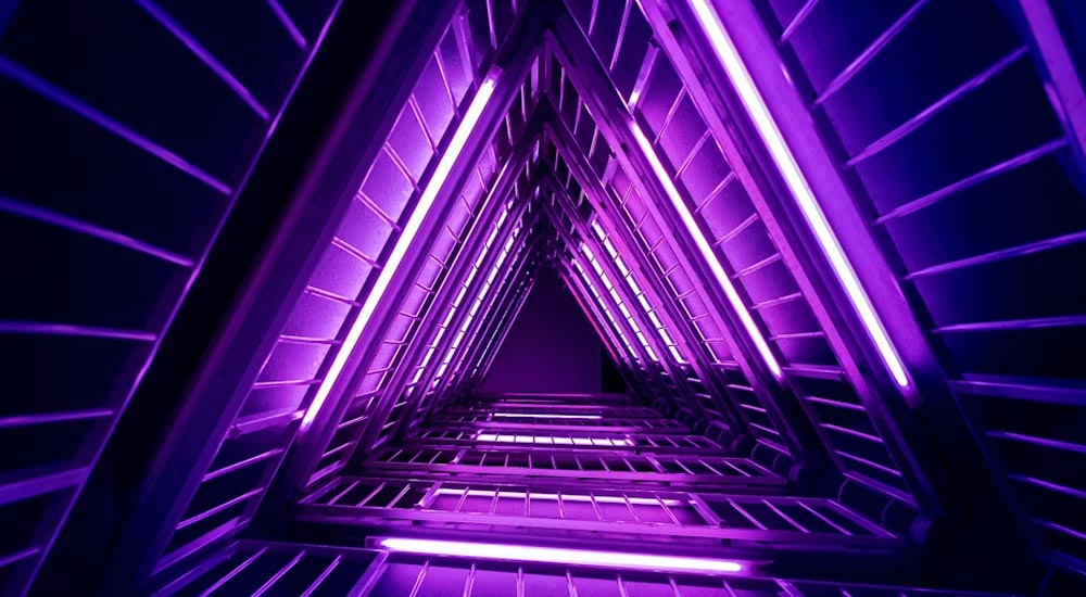 How a simple question led me down a data rabbit hole